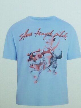 Stone Temple Pilots T Shirt Mens Small Blue Jubilee Tour Baby Dragon Graphic